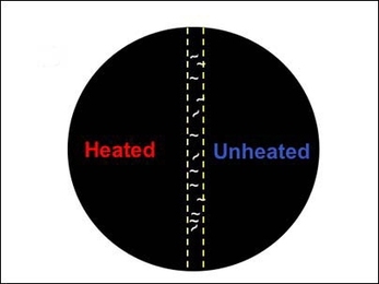 To test larvae for thermotaxis, a temperature gradient is generated across an agar-covered plate by heating the left half of the plate (heated zone) and leaving the right unheated (unheated zone). <a onclick="MM_openBrWindow('1-hotfly-enlarged.html','','width=509, height=583')">
<span onmouseover="this.className='cursorChange';">
<strong>Open image gallery</strong>
</span>
</a>
<noscript> <a href=...