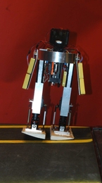 'Toddler,' a walking robot developed at MIT, takes a step.