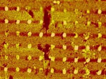These DNA dots, each only about 200 nanometers in diameter, were printed using a new 'nano-printing' technique developed at MIT.