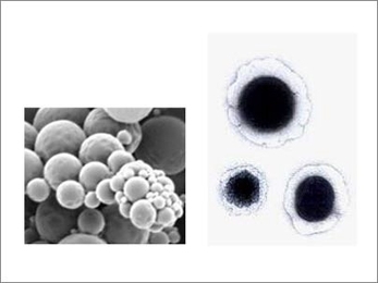 Chemotherapy-loaded nanoparticles, left, form the core of the nanocell, right, as seen under the electron microscope. The outer lighter layer of the nanocell stores the drug that cuts blood supply after the nanocell has entered the tumor.