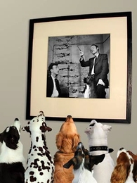 Dogs of different breeds look up at a photo of James Watson and Francis Crick with a model of the structure of DNA. Researchers have just announced they have sequenced the dog genome.