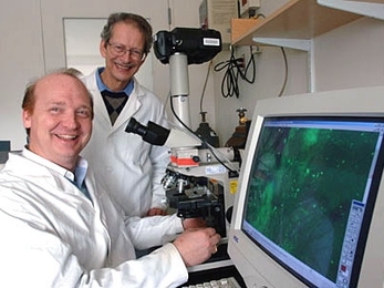 Research scientist Rutledge Ellis-Behnke, left, and Professor Gerald E. Schneider, both of the Department of Brain and Cognitive Sciences, worked with others to create a technique that helps rodents recover from traumatic brain injuries. The monitor shows a microscopic view of the brain repair.