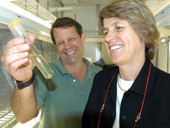 MIT marine biologists Ed DeLong and Penny Chisholm check out an ocean water sample. Researchers in Chisholm's lab have shown that gene-swapping takes place among ocean plankton and resembles the flow of genes known to occur among disease-causing bacteria.