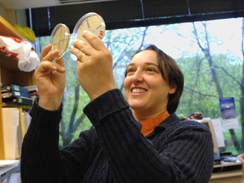 Associate Professor Angelika Amon investigates the specialized cell division process that produces sperm and eggs.