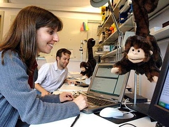 Animatronic monkeys keep graduate student Rachel Kern company in her office at the Media Lab on Friday, May 12. Colleague Matt Adcock, background, has another monkey with him. The monkeys are designed to aid communication between colleagues.