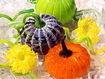 Glass pumpkins are due to sprout again on the Kresge Oval. The annual Glass Lab sale will take place Sept. 30.