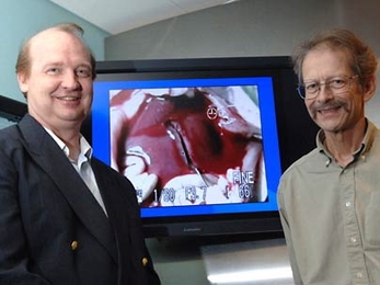 MIT research scientist Rutledge Ellis-Behnke, left, and Professor Gerald Schneider bracket a monitor showing a transected liver after it has been treated with a liquid solution containing peptides. The peptides self-assemble into a gel that essentially seals over the wound. The two developed the technique with MIT colleagues and researchers at the University of Hong Kong.