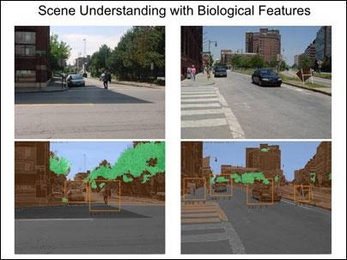 An MIT model for object recognition takes as input the unlabeled images of digital photographs from the street scene database (top) and generates automatic annotations (bottom row). The orange bounding boxes are for pedestrians ("ped") and cars ("car"). The system would have also detected bicycles if present. For sky, buildings, trees and road, the system uses color coding (blue, brown, green and ...