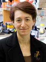 Professor Hazel Sive