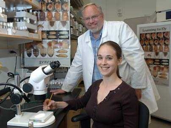 J. Troy Littleton, a professor in the Picower Institute for Learning and Memory at MIT, joins biology graduate student Sarah N. Huntwork in the lab. They have created the first genetically-engineered mutant--in this case a fruit fly--that produces no complexins (proteins that play a role in the release of neuro-transmitters) during cell-to-cell signaling.