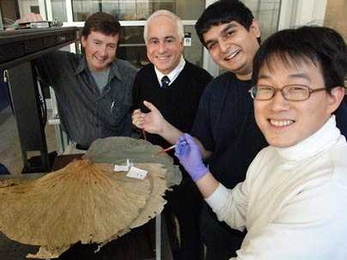 A group of MIT researchers, gathered here around naturally water-repelling lotus leaves, has developed a class of material structures that repel oil and hydrocarbons. From left are Gareth McKinley, Professor of Teaching Innovation in the Department of Mechanical Engineering; Robert Cohen, St. Laurent Professor of Chemical Engineering; Anish Tuteja, postdoc in chemical engineering; and Wonjae Choi,...