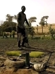 A Sudanese farmer operates a treadle-powered foot pump. Two MIT students have set up a company to sell the pumps to help subsistence farmers in the region.