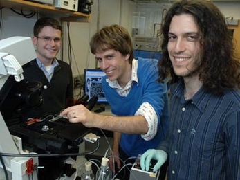 From left, graduate student Jerome Mettetal, Professor Alexander van Oudenaarden and Harvard graduate student Dale Muzzey report insights on how cells respond to external stimuli.