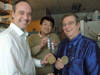 Philip Lessard, Kazuhiko Kurosawa and Anthony Sinskey display a new type of antibiotic they produced by pitting two strains of bacteria against one another. Lessard, a research scientist, and postdoc Kurosawa work in the MIT lab of Sinskey, a professor of microbiology and health sciences and technology.