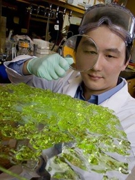 MIT graduate student and synthetic biologist Timothy Lu has won the $30,000 Lemelson-MIT Student Prize for inventing processes to combat bacterial infections by enhancing the effectiveness of antibiotics.
