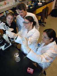 MIT researchers survey the evidence of their success in figuring out how to make surface coatings that bacteria won't stick to. From left, assistant professor of material science and engineering Krystyn Van Vliet, director of the MIT Center for Materials Science and Engineering Michael Rubner; and materials science and engineering graduate student  Jenny Lichter and senior Maricela Delgadillo.