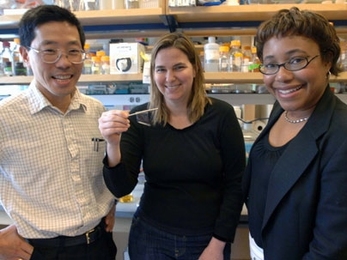 From left, MIT professors Yet-Ming Chiang, Angela Belcher and Paula Hammond. The three have authored a paper detailing their virus-based method of creating and installing microbatteries by stamping them onto a variety of surfaces.