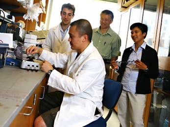 Andy Wijaya, an MIT graduate student in chemical engineering, prepares a gold nanorod solution for pump-probe spectroscopy with (standing, left to right) postdoc Aaron Schmidt and professors Gang Chen and Kimberly Hamad-Schifferli observing.