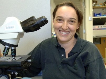 Professor of Biology Angelika Amon reports new insights into how cells divide, a process important to cancer research.
