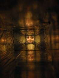 An inside view of a neutron detector in development at MIT's Laboratory for Nuclear Science.  Pappalardo Fellow Jocelyn Monroe, is seen through the detector.