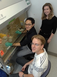 Chemistry graduate student Weerawat Runguphan, left, Sarah E. O'Connor, Latham Family Career Development Associate Professor of Chemistry, rear, and chemistry graduate student Peter Bernhardt, right, in lab where they genetically engineered periwinkle plant cells.
