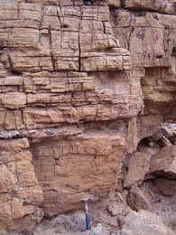 Evidence of early sponges was found in these sediments in Oman, a Marinoan age (about 635 million yearÂ old) rock unit of calcium carbonate deposited on rocks of glacial origin. The oldest sponge steroids detected in sedimentary rocks underlie this cap carbonate, and so pre-date the end of the global Marinoan glaciations.