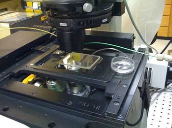 Researchers used a microfluidics device and a microscope (shown here) in research involving microbes that could lead to a new way of isolating harmful forms of drugs.