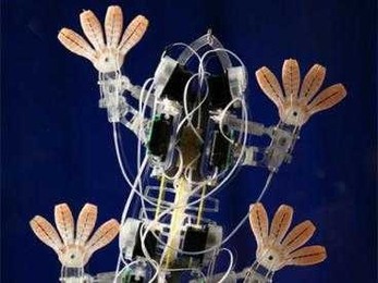 Stickybot has specially designed footpads, inspired by the surface of a gecko’s foot, that allow it to climb smooth surfaces. MIT Assistant Professor Sangbae Kim worked on the robot as a graduate student at Stanford.
