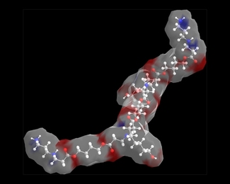 The structure of a portion of a biodegradable polymer used for gene delivery.