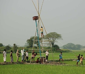 Members of the Harvey Lab and local workers from a nearby village in Bangladesh install a 20-plus-foot tower in a rice field. The red cage on the tower housed a waterproof box containing the datalogger and battery that powered, controlled and recorded data collected by 18 hydrologic sensors installed by Rebecca Neumann (in the green hat).