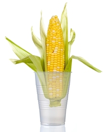 Ear of corn in a water glass
