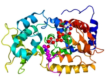Crystallographic structure of yeast sir2 complexed with ADP and a histone H4 peptide containing an acylated lysine residue.
