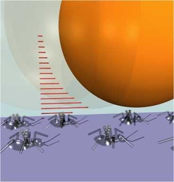Chains of superparamagnetic colloidal particles rotate to produce flows on length scales much larger than the chain dimensions, allowing them to behave like "micro-ants" that can move large particles.