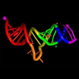 DNA with one strand misformed
