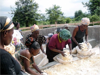 Women in Ghana work with cassava, which is cut, milled, pressed and dried (sometimes fermented first).