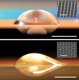 A symmetrical droplet (top) forms on a surface with straight nano-pillars, while on a surface with bent pillars (bottom) the droplet is asymmetrical, extending out only to the right. Inset images are micrographs of the surface structure.