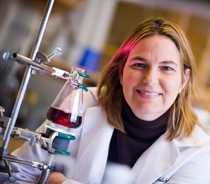Angela Belcher, the Germeshausen Professor of Materials Science and Engineering and Biological Engineering, demonstrates a virus-templated catalyst solution used in harnessing energy from water.