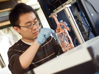 Graduate student Ye Tao adjusts the magnetic force resonance microscope that he and Assistant Professor Christian Degen are building at MIT.  