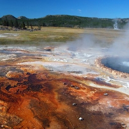 Microbial mats growing in hot spring-fed streams, like these here in Yellowstone National Park, offer insights into the evolution of life on early Earth. As mineral-laden water flow over the mat, silica crystals grow, and the mat eventually turns into stone. The lithified mat is an analogue of conical stromatolites that are found in sedimentary rocks that are billions of years old.