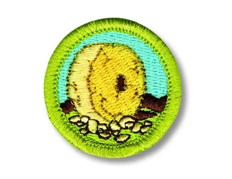 Cover of the Inventing merit badge booklet
