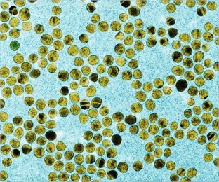 An image of gold nanoparticles.