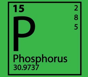 Phosphorous box from the periodic table