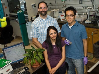 From left to right, Associate Professor Michael Strano with graduate student Ardemis Boghossian and postdoctoral fellow Moon-Ho Ham, in one of the labs where they carried out their experiments. 
