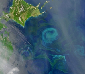 The swirls of color visible in the waters southeast of Japan's Hokkaido (island in upper left part of image) show where different kinds of phytoplankton are using chlorophyll and other pigments to capture sunlight and produce food. It turns out that phytoplankton affect how deeply sunlight is absorbed by the oceans, which affects how and where tropical cyclones form.