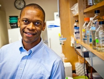 Jacquin Niles, MIT assistant professor of biological engineering