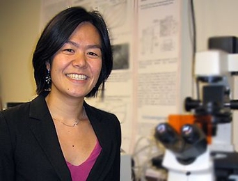 Evelyn Wang, the Esther and Harold E. Edgerton Career Development Assistant Professor in Mechanical Engineering