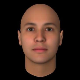 MIT and Harvard researchers found that the gender of androgynous faces like this one, created with FaceGen software, can be interpreted differently depending on where it is seen in the visual field.