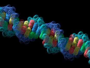 Computer illustration of a color-coded double helix strand of DNA against a black background