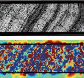 A slice of ferromanganese crust from the Pacific Ocean was analyzed using a SQUID microscope at Vanderbilt University. The top image shows a portion of the image of the slice taken with an electron microprobe. The second image shows the magnetized regions in the slice, with red areas showing one direction of magnetization and blue the opposite direction.