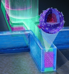 In this artist’s rendering of the new system, polymers flow through a microfluidic channel as they are formed into spherical nanoparticles. An organic solvent called acetonitrile helps keep the particles away from the walls and prevent clumping.
